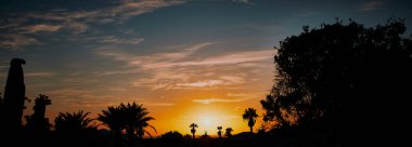 İspanya 'nın Lanzarote kentinde günbatımının önündeki palmiye ağacının panorama renkli fotoğrafı