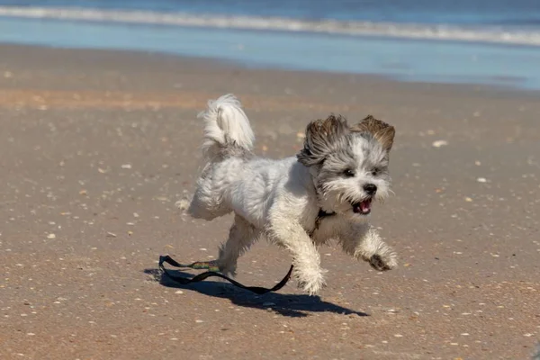 Luft Strand — Stockfoto