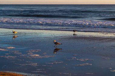 Altın saat - Beach sunrise başlangıcı