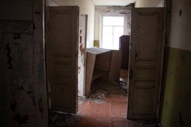 Bir nükleer felaket sonra hayat