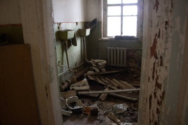 Bir nükleer felaket sonra hayat