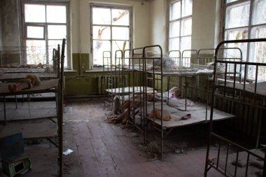 Bir nükleer felaket sonra hayat