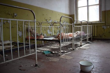 Bir nükleer felaket sonra hayat