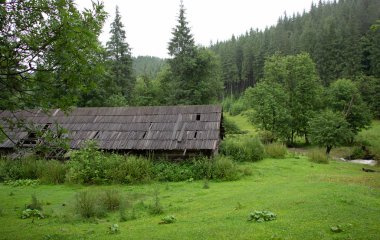 Karpatiler 'de Petros üzerinden Hoverla 'ya Karadağ sırtı boyunca pop Ivan 'a trekking