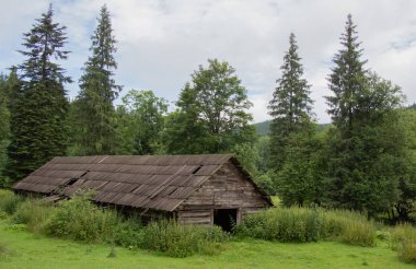 Karpatiler 'de Petros üzerinden Hoverla 'ya Karadağ sırtı boyunca pop Ivan 'a trekking