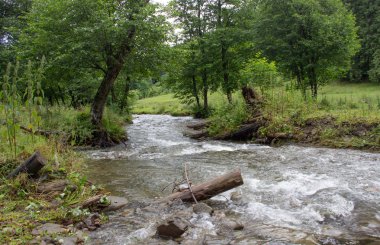 Karpatiler 'de Petros üzerinden Hoverla 'ya Karadağ sırtı boyunca pop Ivan 'a trekking