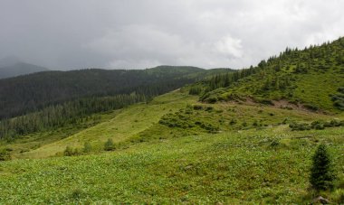 Karpatiler 'de Petros üzerinden Hoverla 'ya Karadağ sırtı boyunca pop Ivan 'a trekking