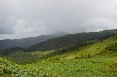 Karpatiler 'de Petros üzerinden Hoverla 'ya Karadağ sırtı boyunca pop Ivan 'a trekking