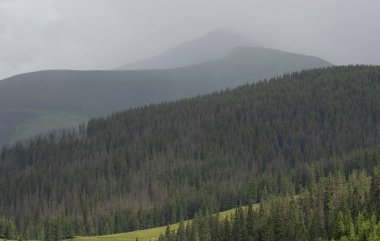 Karpatiler 'de Petros üzerinden Hoverla 'ya Karadağ sırtı boyunca pop Ivan 'a trekking