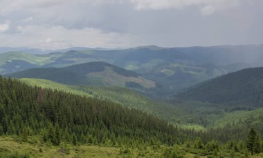 Karpatiler 'de Petros üzerinden Hoverla 'ya Karadağ sırtı boyunca pop Ivan 'a trekking