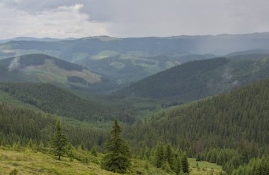 Karpatiler 'de Petros üzerinden Hoverla 'ya Karadağ sırtı boyunca pop Ivan 'a trekking