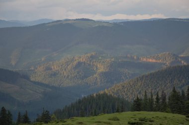 Karpatiler 'de Petros üzerinden Hoverla 'ya Karadağ sırtı boyunca pop Ivan 'a trekking