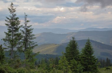 Karpatiler 'de Petros üzerinden Hoverla 'ya Karadağ sırtı boyunca pop Ivan 'a trekking