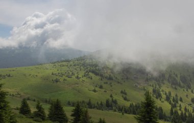 Karpatiler 'de Petros üzerinden Hoverla 'ya Karadağ sırtı boyunca pop Ivan 'a trekking