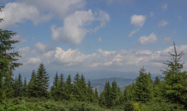 Karpatiler 'de Petros üzerinden Hoverla 'ya Karadağ sırtı boyunca pop Ivan 'a trekking