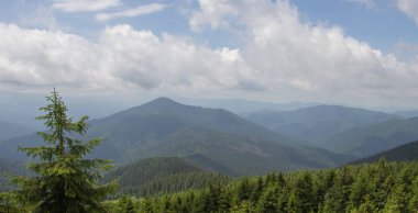 Karpatiler 'de Petros üzerinden Hoverla 'ya Karadağ sırtı boyunca pop Ivan 'a trekking