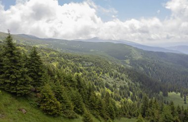 Karpatiler 'de Petros üzerinden Hoverla 'ya Karadağ sırtı boyunca pop Ivan 'a trekking