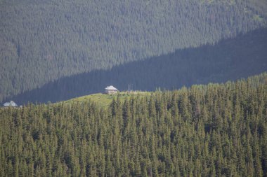 Karpatiler 'de Petros üzerinden Hoverla 'ya Karadağ sırtı boyunca pop Ivan 'a trekking