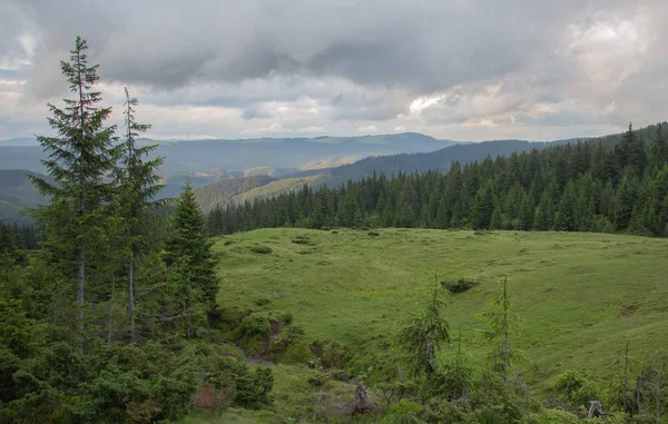 Trekking Los Cárpatos Través Petros Hoverla Largo Cresta Montenegrina Pop — Foto de Stock