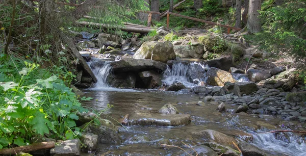 Trekking Karpatach Przez Petros Hoverla Wzdłuż Grzbietu Czarnogóry Pop Ivan — Zdjęcie stockowe