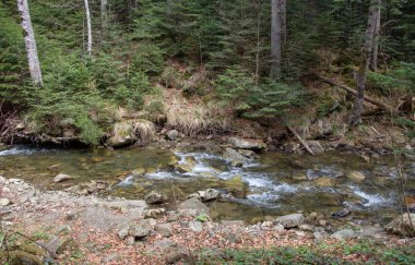 Karpatlarda dinlen, Gorgany dağlarında yürüyüş 