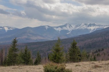 Karpatlarda dinlen, Gorgany dağlarında yürüyüş 