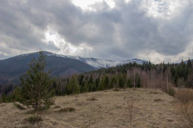 Karpatlarda dinlen, Gorgany dağlarında yürüyüş 