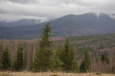 Karpatlarda dinlen, Gorgany dağlarında yürüyüş 