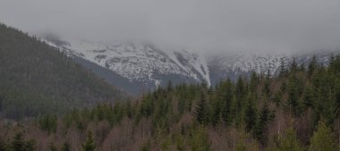 Karpatlarda dinlen, Gorgany dağlarında yürüyüş 