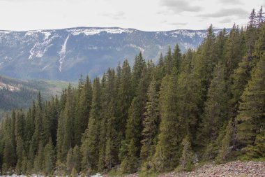 Karpatlarda dinlen, Gorgany dağlarında yürüyüş 
