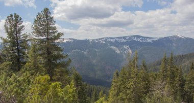 Karpatlarda dinlen, Gorgany dağlarında yürüyüş 