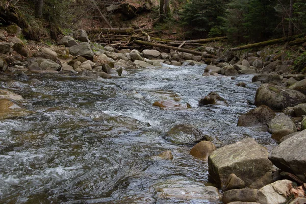 Gorgany - das steinerne Herz der Karpaten, Ruhe in den Karpaten — Stockfoto