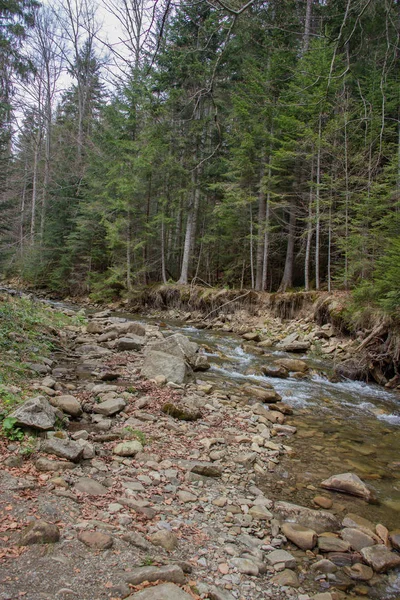 Горганы - каменное сердце Карпат, отдых в Карпатах — стоковое фото