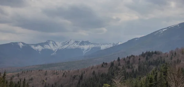 Отдых Карпатах Пешие Прогулки Горах Горганы — стоковое фото