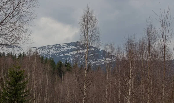 Karpatlarda dinlen, Gorgany dağlarında yürüyüş 