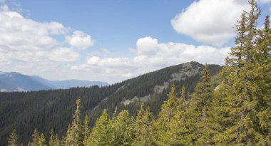 Karpatlarda dinlen, Gorgany dağlarında yürüyüş 