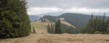 Karpatlarda dinlen, Gorgany dağlarında yürüyüş 
