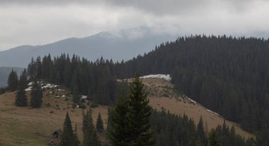 Karpatlarda dinlen, Gorgany dağlarında yürüyüş 