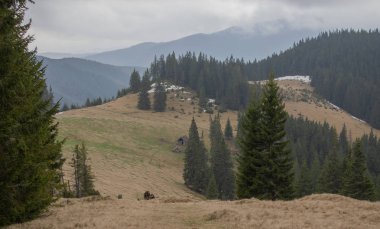 Karpatlarda dinlen, Gorgany dağlarında yürüyüş 