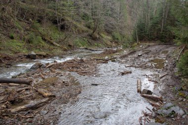 Karpatlarda dinlen, Gorgany dağlarında yürüyüş 