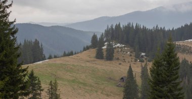 Karpatlarda dinlen, Gorgany dağlarında yürüyüş 