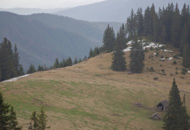 Karpatlarda dinlen, Gorgany dağlarında yürüyüş 