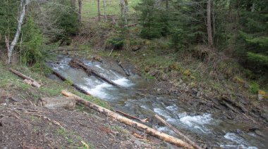 Karpatlarda dinlen, Gorgany dağlarında yürüyüş 
