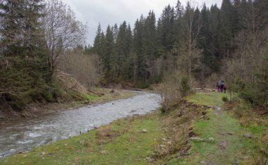 Karpatlarda dinlen, Gorgany dağlarında yürüyüş 