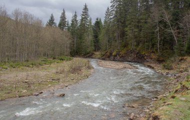 Karpatlarda dinlen, Gorgany dağlarında yürüyüş 