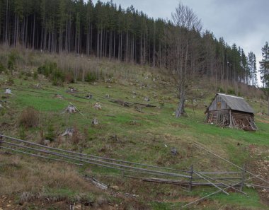Karpatlarda dinlen, Gorgany dağlarında yürüyüş 