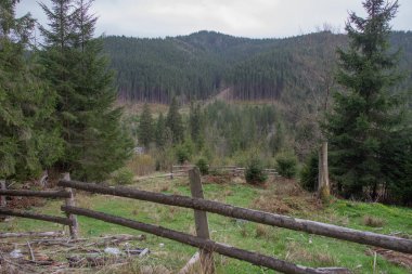 Karpatlarda dinlen, Gorgany dağlarında yürüyüş 
