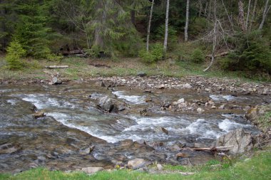 Karpatlarda dinlen, Gorgany dağlarında yürüyüş 