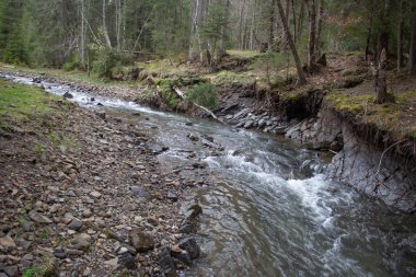 Karpatlarda dinlen, Gorgany dağlarında yürüyüş 