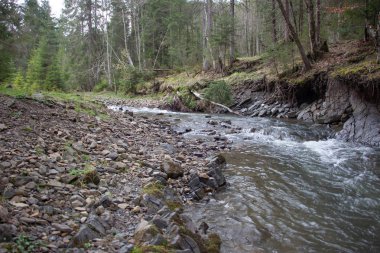 Karpatlarda dinlen, Gorgany dağlarında yürüyüş 